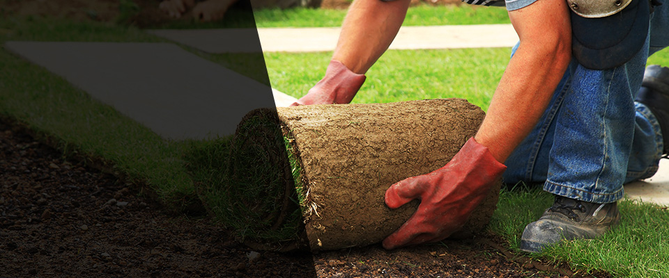 Ranson Landscapers